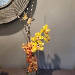 Unique Orchids