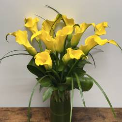 Yellow calla lilies arranged in a clear glass vase