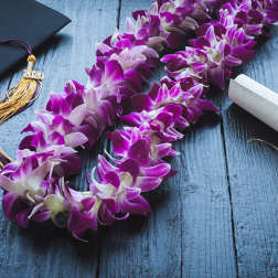 Purple orchid lei with a graduation cap and diploma scroll