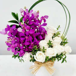 Orchids and White Roses