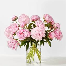 Pink peonies in a clear glass vase