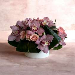 VIOLETA