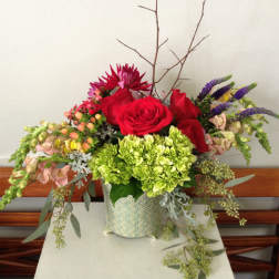 Blooms of Beauty