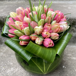 Very Large Tulip Bowl