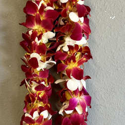 Two orchid leis in red, white, and yellow hang against a wall.
