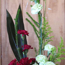 Contempary Carnations
