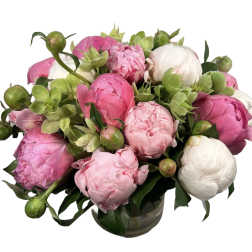 Pink and white peonies arranged in a glass vase