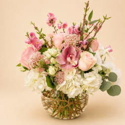 Touch of Rosa