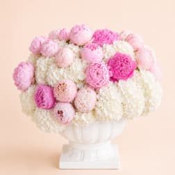 Peony Cloud