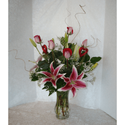 STARGAZERS AND LATIN LADIES, OH SO BEAUTIFUL!