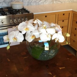 Orchid Bouquet