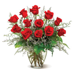 Dozen Roses