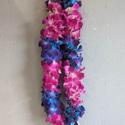 Two-tone orchid lei in pink, purple, and blue