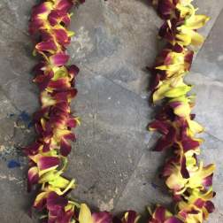 Mix color lei