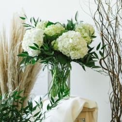 Hello Hydrangeas