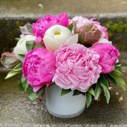 Pink and white peonies arranged in a white vase