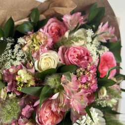 Cream + Pink DESIGNERS CHOICE