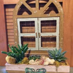 Succulent Garden Box