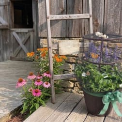 Butterfly Garden Bouquet - Designer's Choice