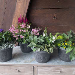 Mini Annual Planter Set – 9" Mixed Containers (Set of 2)