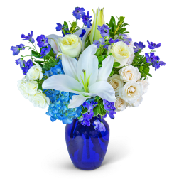 Blue Beauty