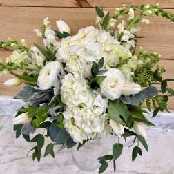 Elegant white