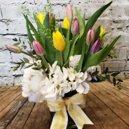 Bouquet of yellow and pink tulips with white hydrangeas in a vase