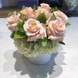 Peach roses arranged in a white vase with white hydrangeas