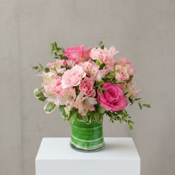 Pink Sugar