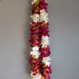 Double Orchid Lei White and Purple/yellow (dyed)