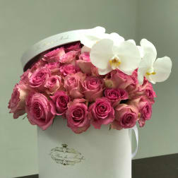Pretty in Pink