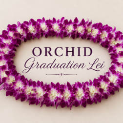 Grad Hawaiian Double Lei