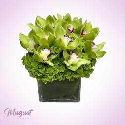 Green orchid arrangement in a square glass vase