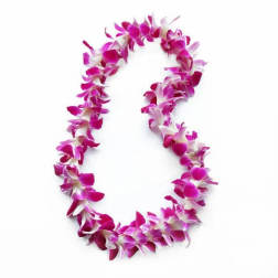 Orchid Lei Single Purple