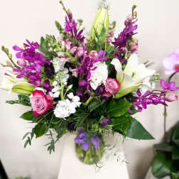 Makara Orchid Majesty