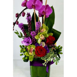 Orchid Jewels #2