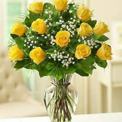 Yellow roses arranged in a clear glass vase with small white filler flowers.