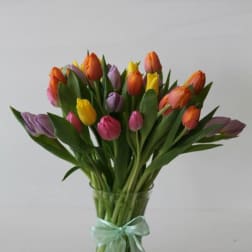 Mixed bouquet of pink, yellow, orange, and purple tulips in a glass vase with a ribbon.