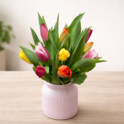 Colorful tulips arranged in a pink ceramic vase