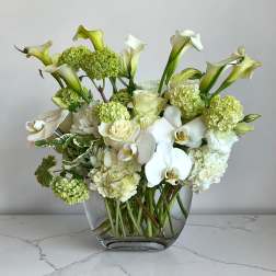 Orchids and Calla Lilies