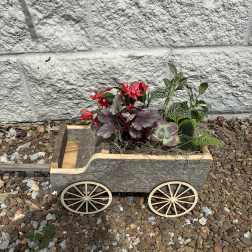Wagon of Love
