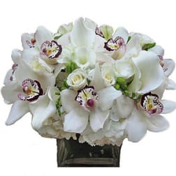 Low white orchid and rose arrangement in a clear glass cube vase