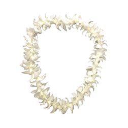 Orchid Lei Single White