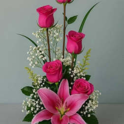 Blushing Elegance