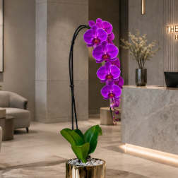 Purple orchid arrangement in a gold pot on a marble table