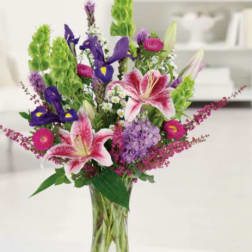 Stargazer Garden
