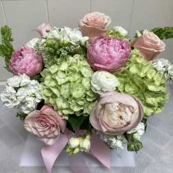 Dream Garden