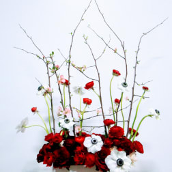 Modern Love Garden Screen Red