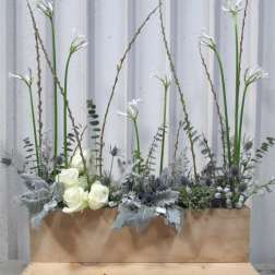 Designer's Choice: Winter Wonderland Screen