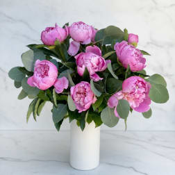 Peony Daydream